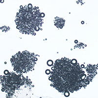 Mikrogeschäumtes microPow-Aromapulver unter dem Mikroskop