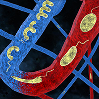 Bacteria-inspired microrobots