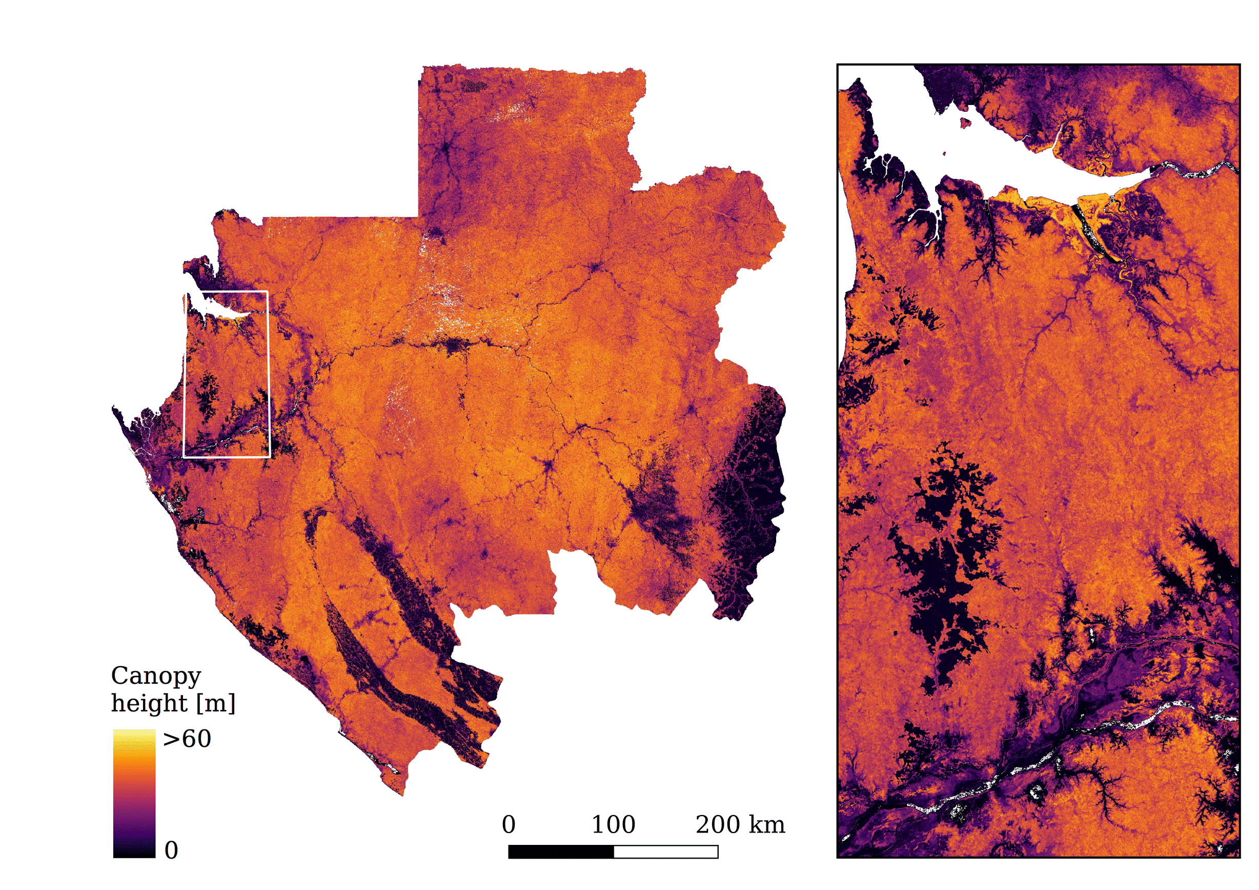 Satellitenbild von Gabun der Vegetationshöhen