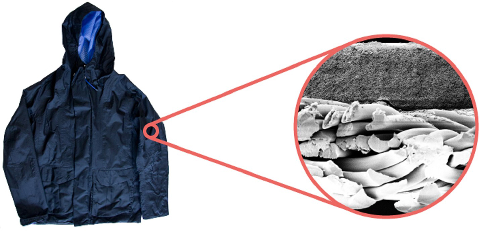 Mikroskopaufnahme der Membrane