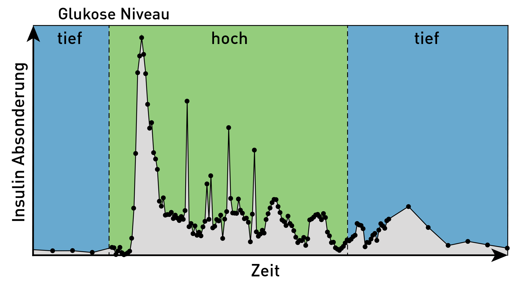 Grafik, die die Insulinabsonderung über Zeit zeigt und das korrespondierende Glukose Niveau