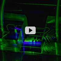 Microfluidic chip