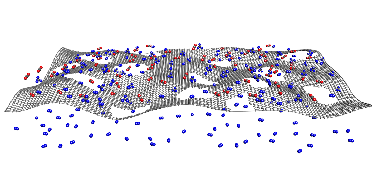 membrane