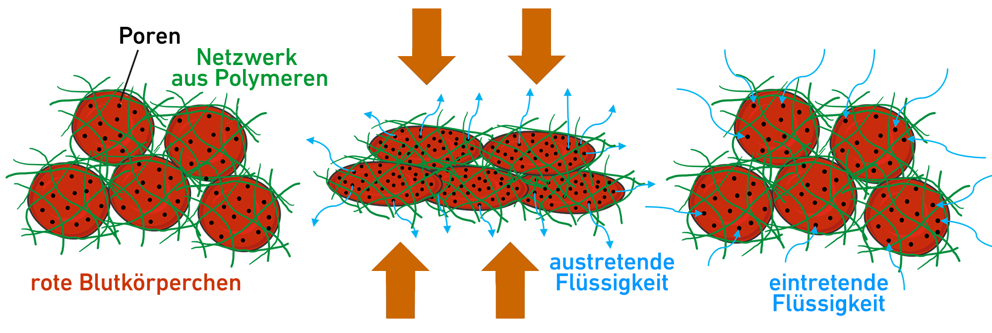 Vergrösserte Ansicht: Schema