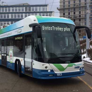 Bus