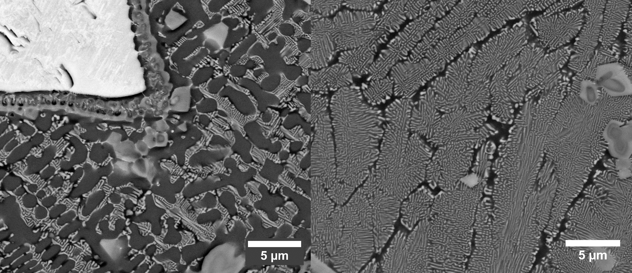 Microstructure