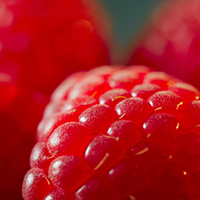 raspberry