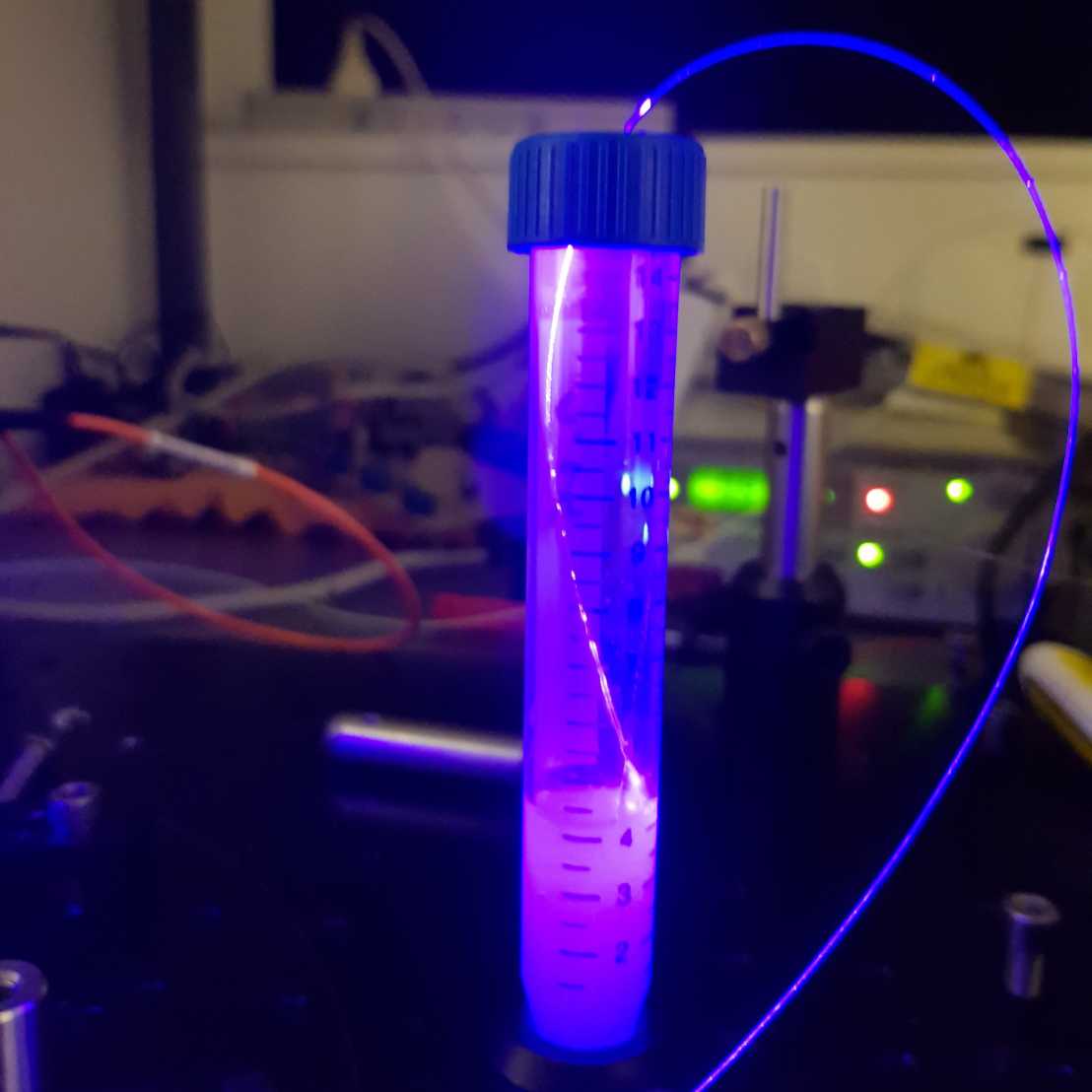 Illumination experiment