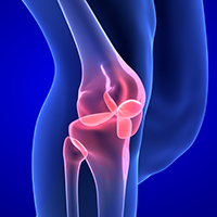 knee