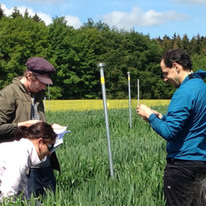 Digital agriculture for breeding wheet