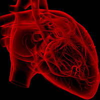 Extended life for aged hearts