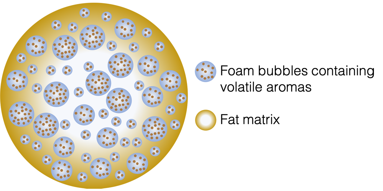 Illustration of micro-foamed microPow powder for application in coffee products (source: microPow)