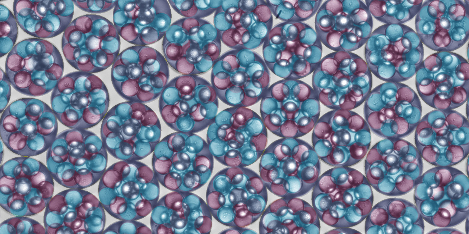 Droplets of an Oil/Water/Oil double emulsion with two different cores