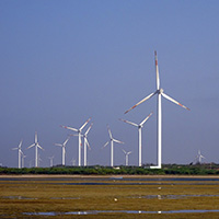 Bird forecast for windfarms