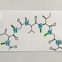 Peptid