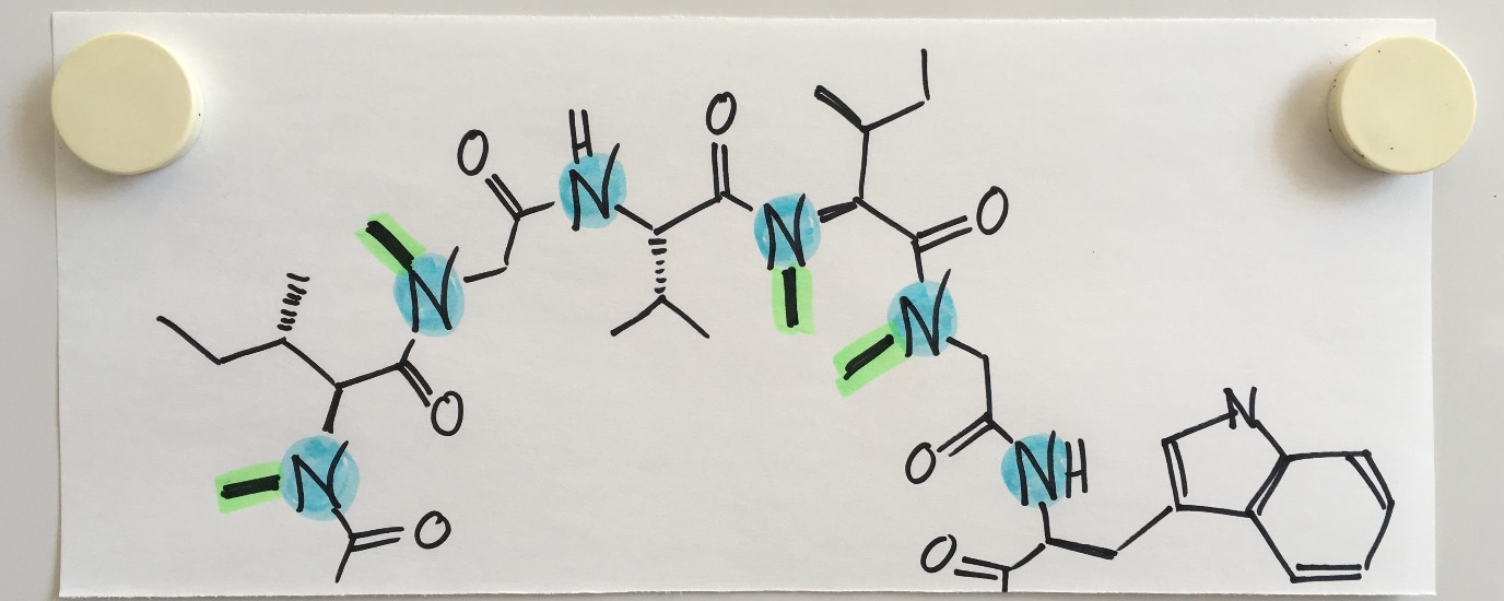 Peptid