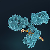 glue for cancer therapy