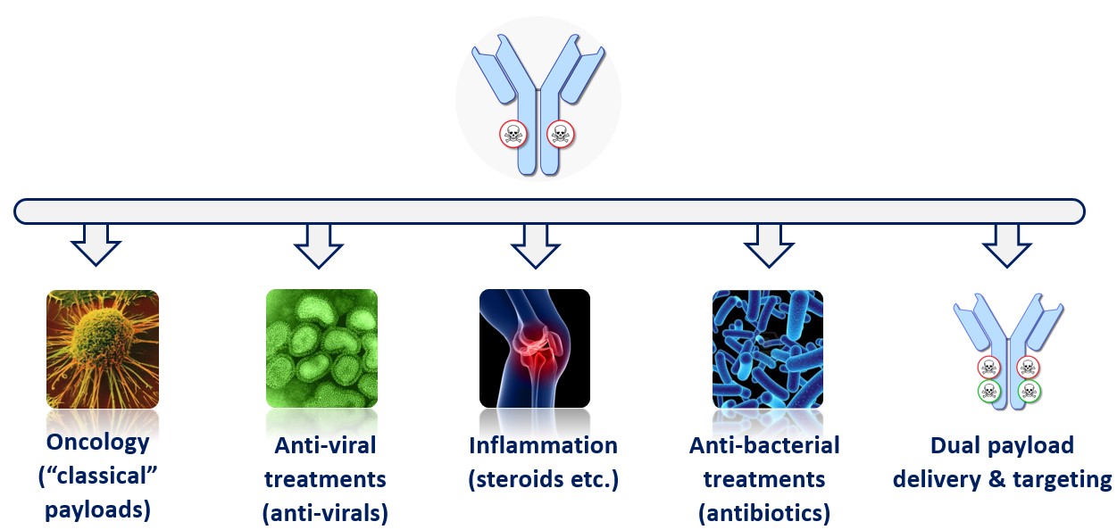 application possibilities: oncology, anti-viral treatments, inflammation, anti-bacterial treatments, dual payload
