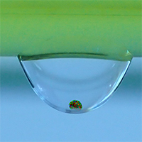 Illustration of the organ-on-chip platform