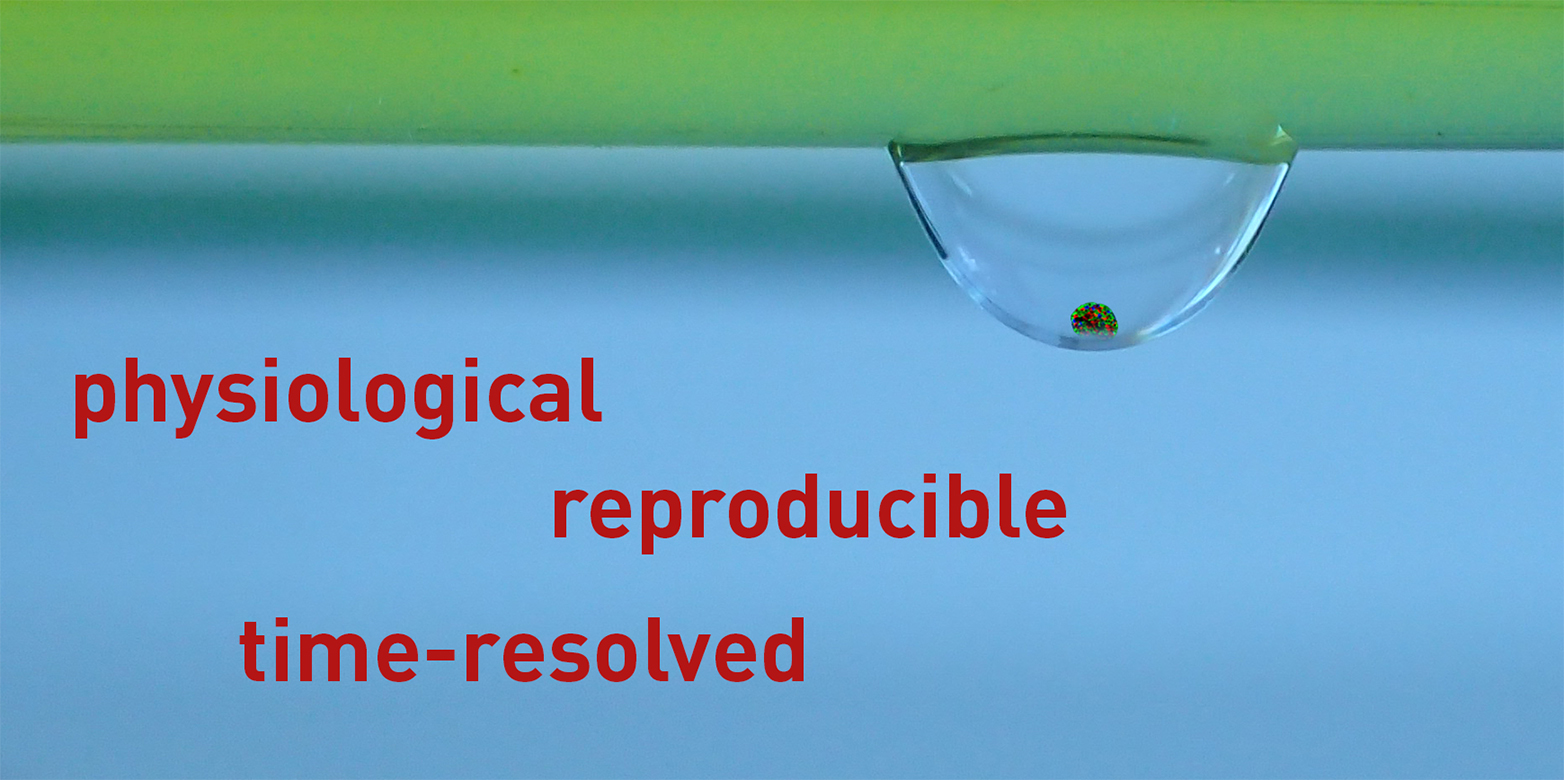 Illustration of the organ-on-chip platform with a hanging drop