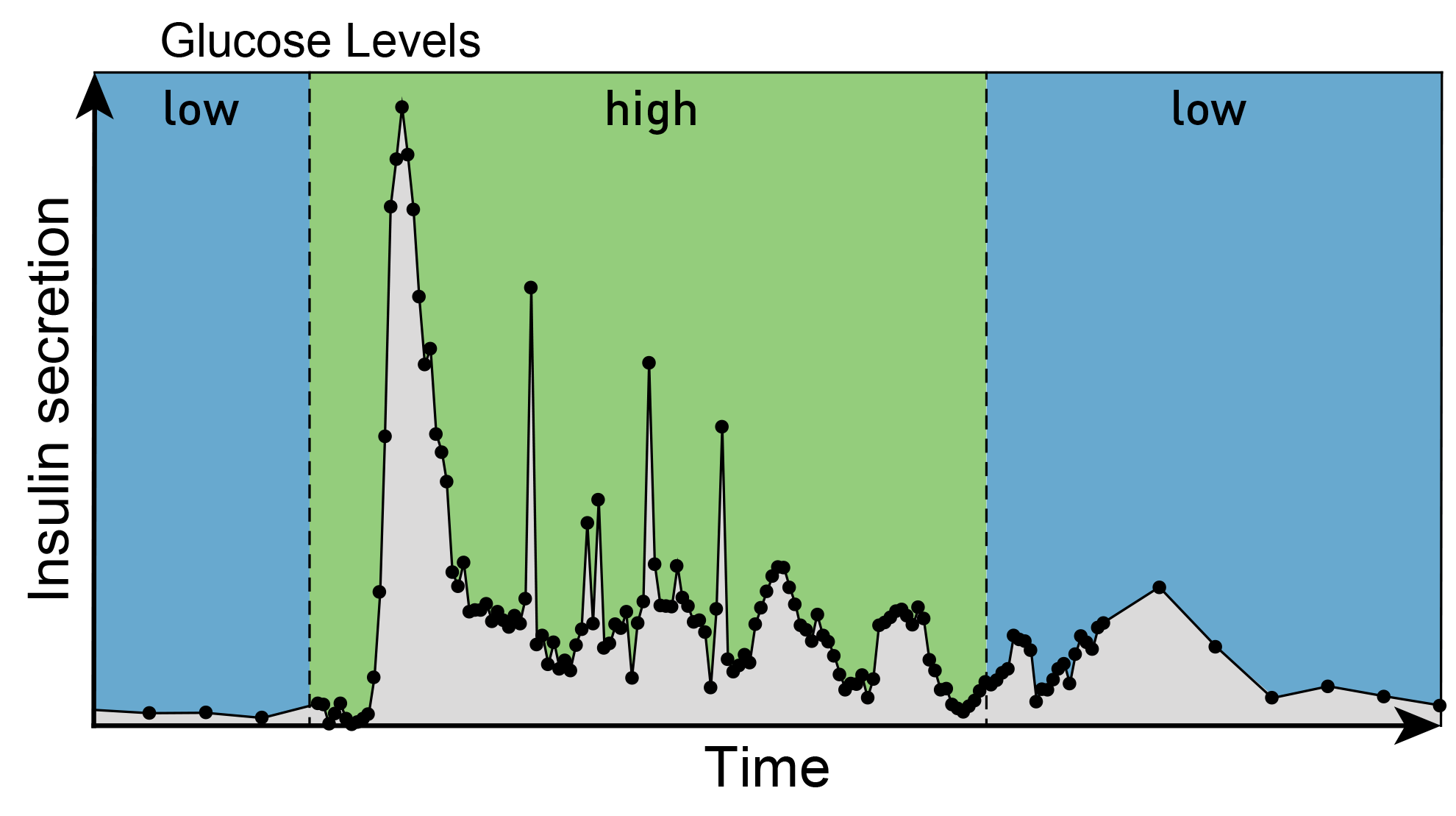 graph showing insulin secretion over time and corresponding glucose levels