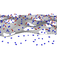membrane