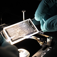 close up shot of microfluidic device