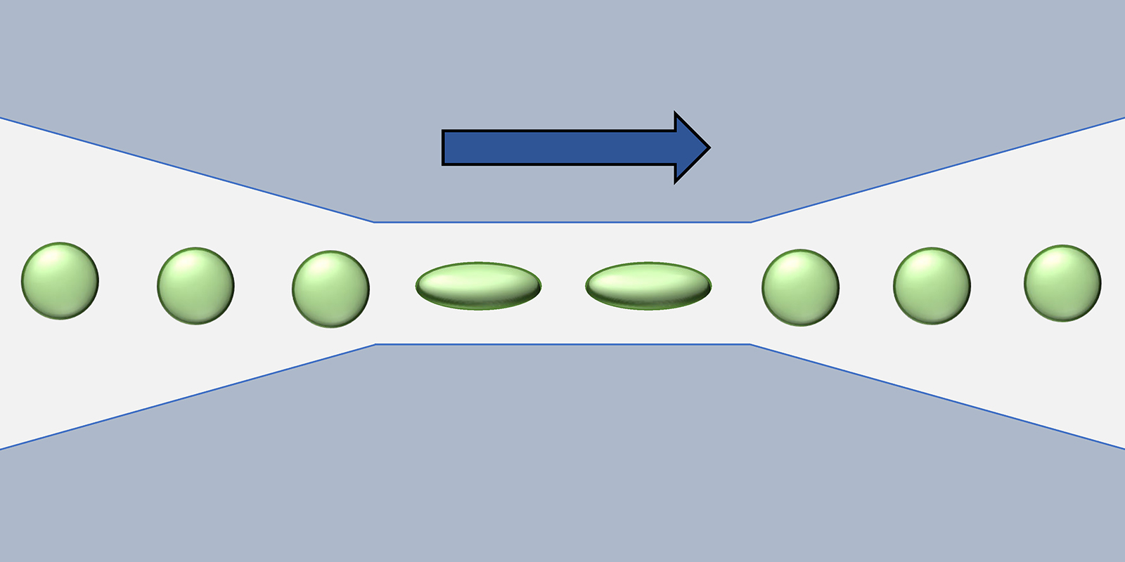 Illustration of cells flowing through the narrow deformation region