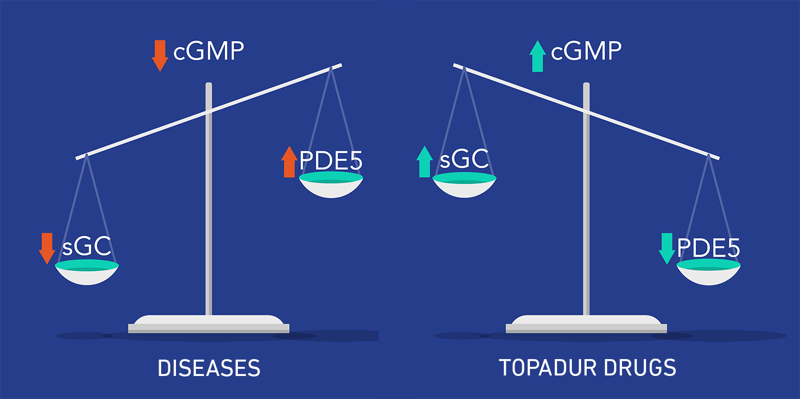 graphic showing the difference with and without TOPADUR drugs