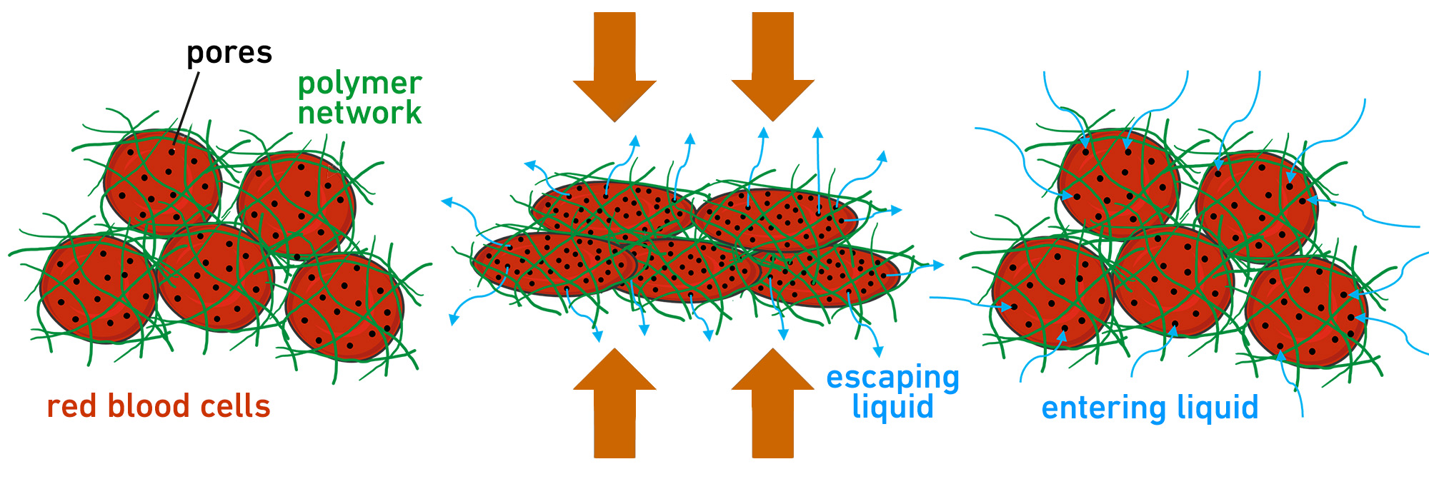 Enlarged view: Schematic