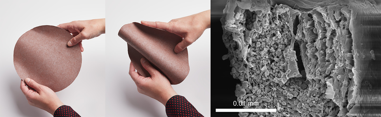 Enlarged view: qCella