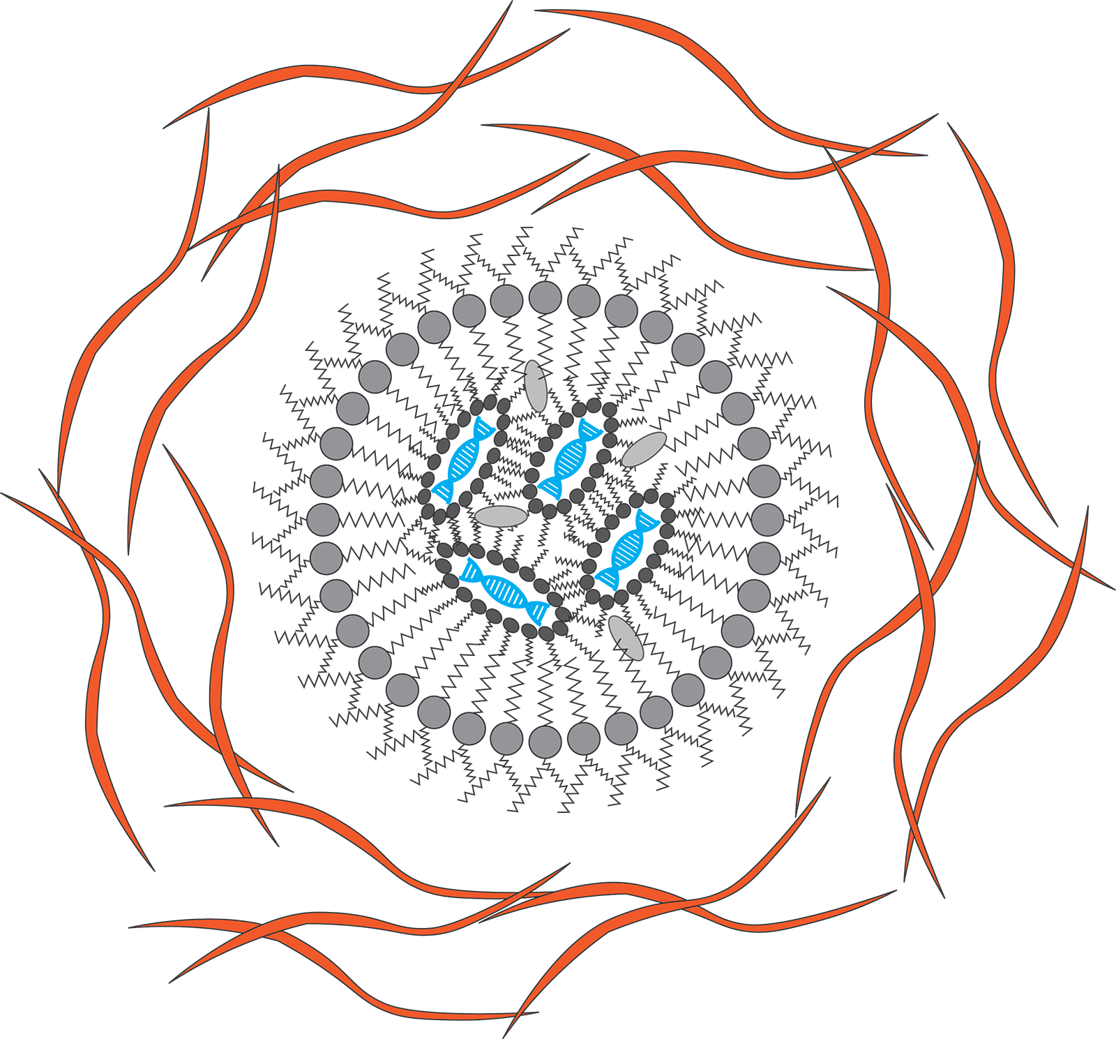graphic picture