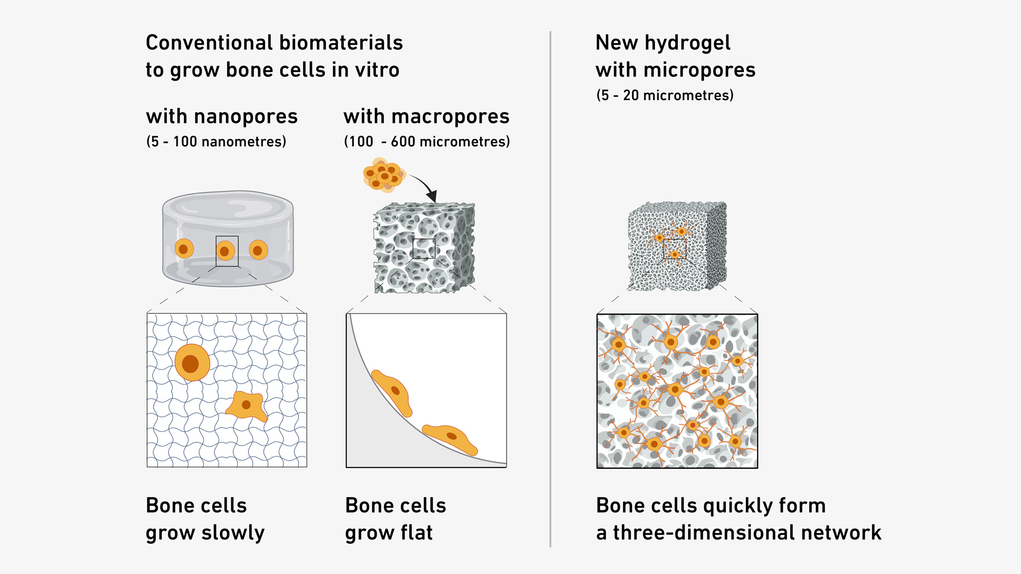 hydrogel