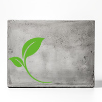 concrete block with green leaf
